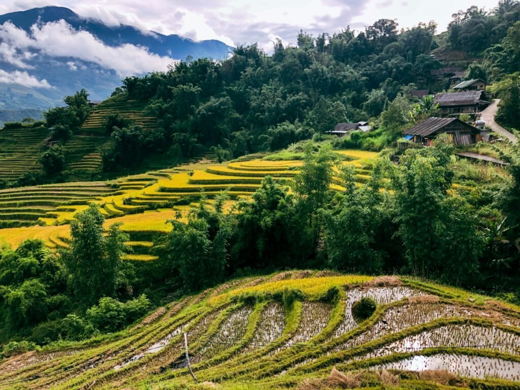 Trek de 2 jours dans la vallée de Muong Hoa avec nuit chez l'habitant à Sapa
