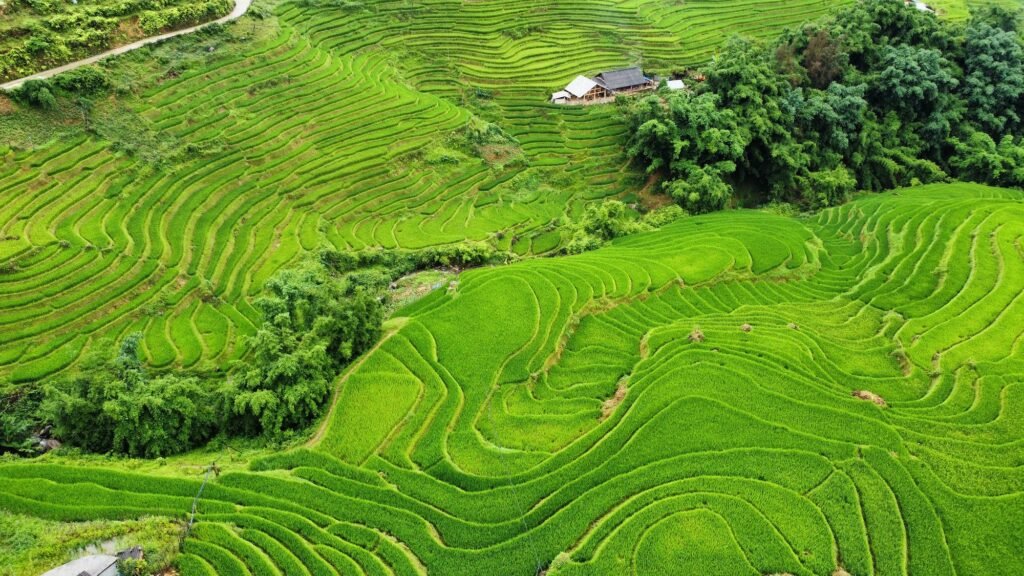 Randonnée dans la vallée de Muong Hoa avec un guide Hmong francophone à Sapa